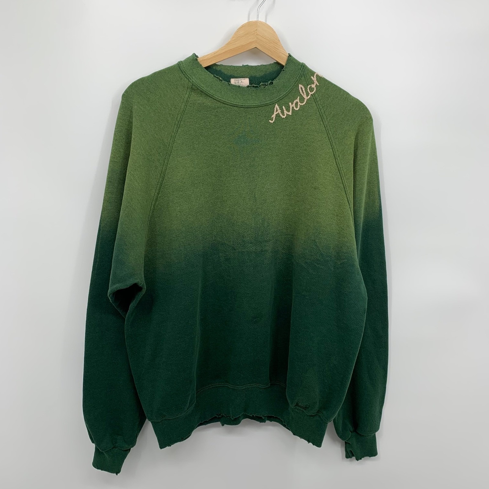 Vtg Ismbs Jerzees Green Ombre Faded Sweatshirt Xl Distressed Hand Embroidered